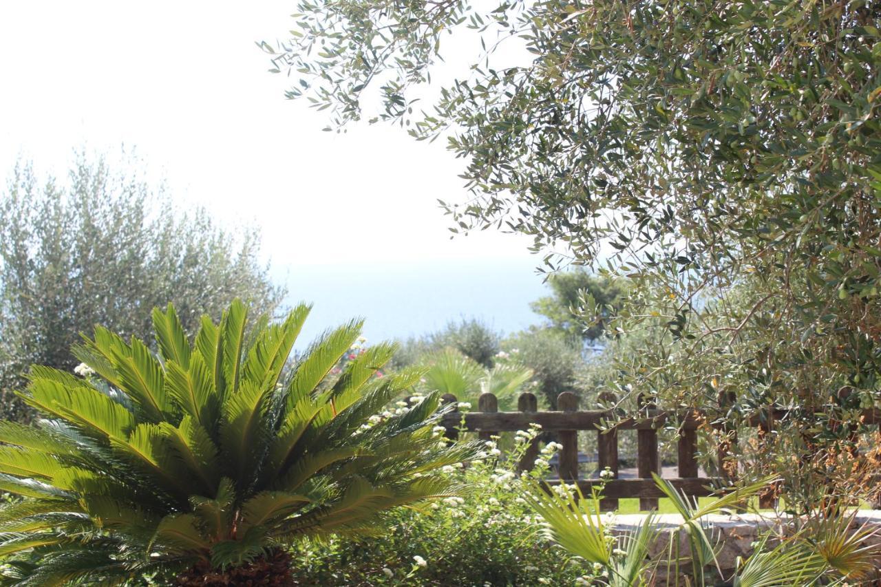 Amoru Bed & Breakfast Castro  Exterior photo